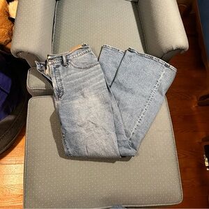 The Perfect Vintage Flare Jean